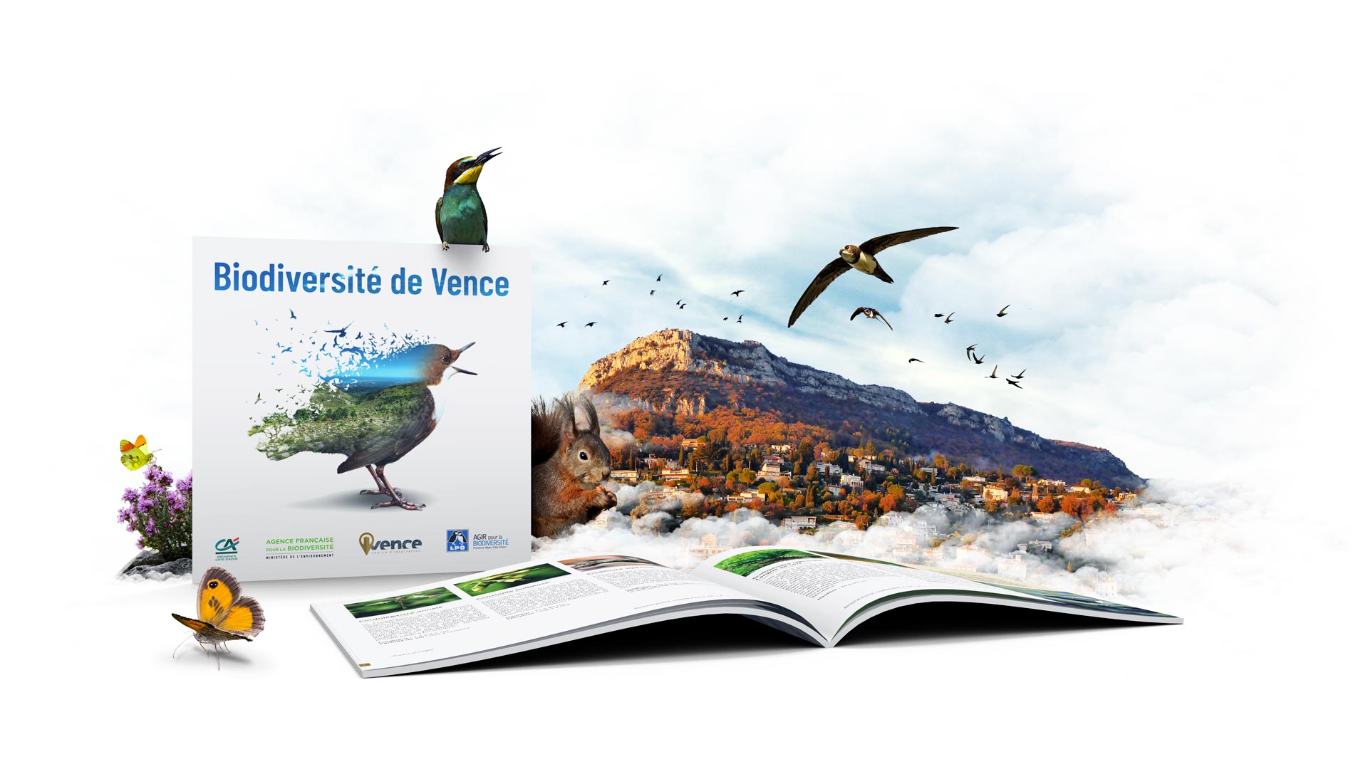 Biodiversité de Vence